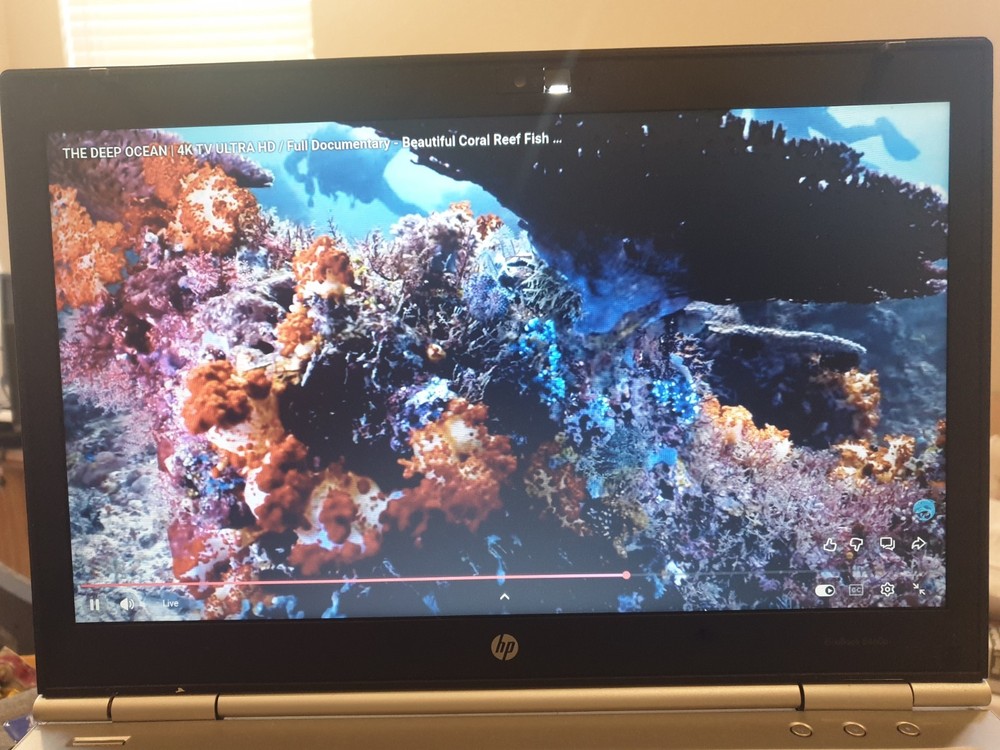 Linux MX V25.1, Xfce, 64-bit, Bootable Live and Install USB Flash Drive