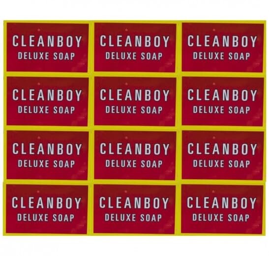 Cleanboy Soap (Pack of 12)