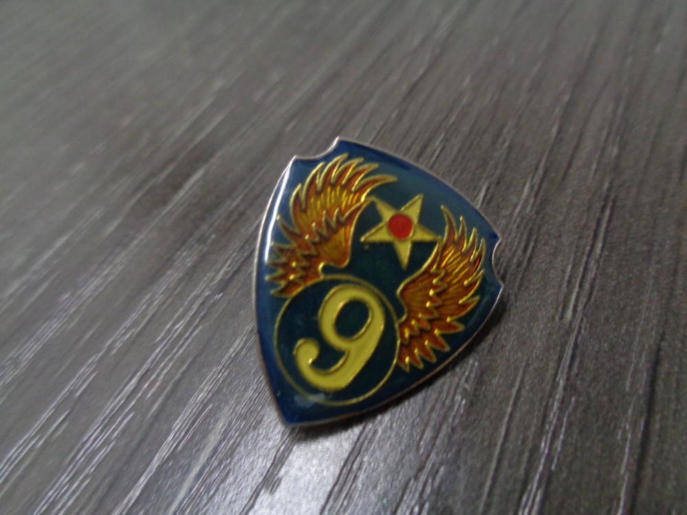 WWII 9th Air Force DI Unit Crest Pin RARE PATCH TYPE