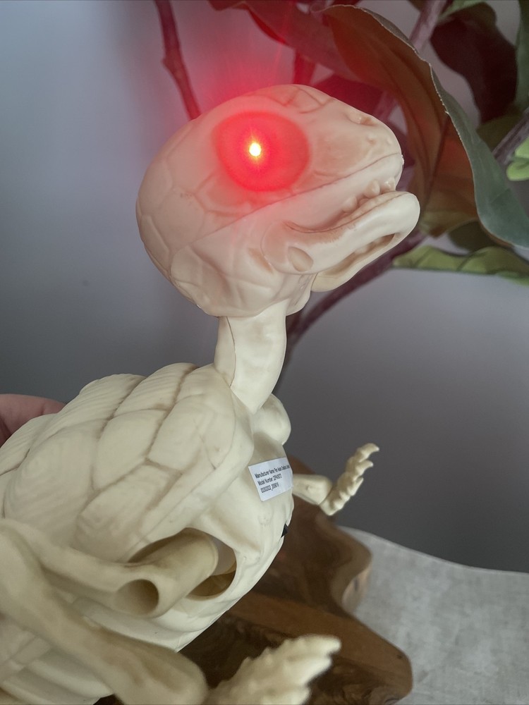 Pac Halloween Animated Turtle Skeleton Eyes light up & Crawling