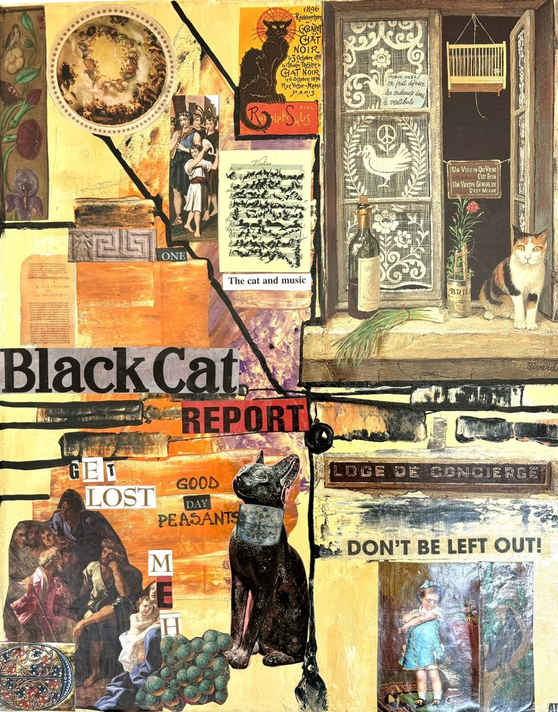 Collage - Cat Report