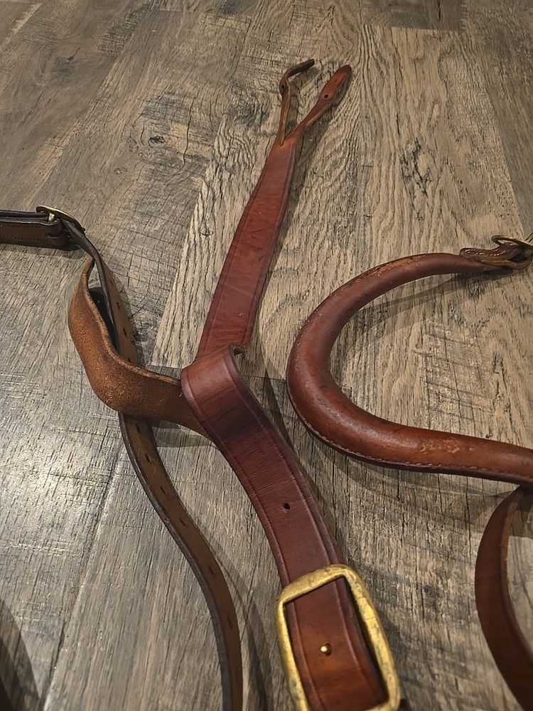 horse training surcingle