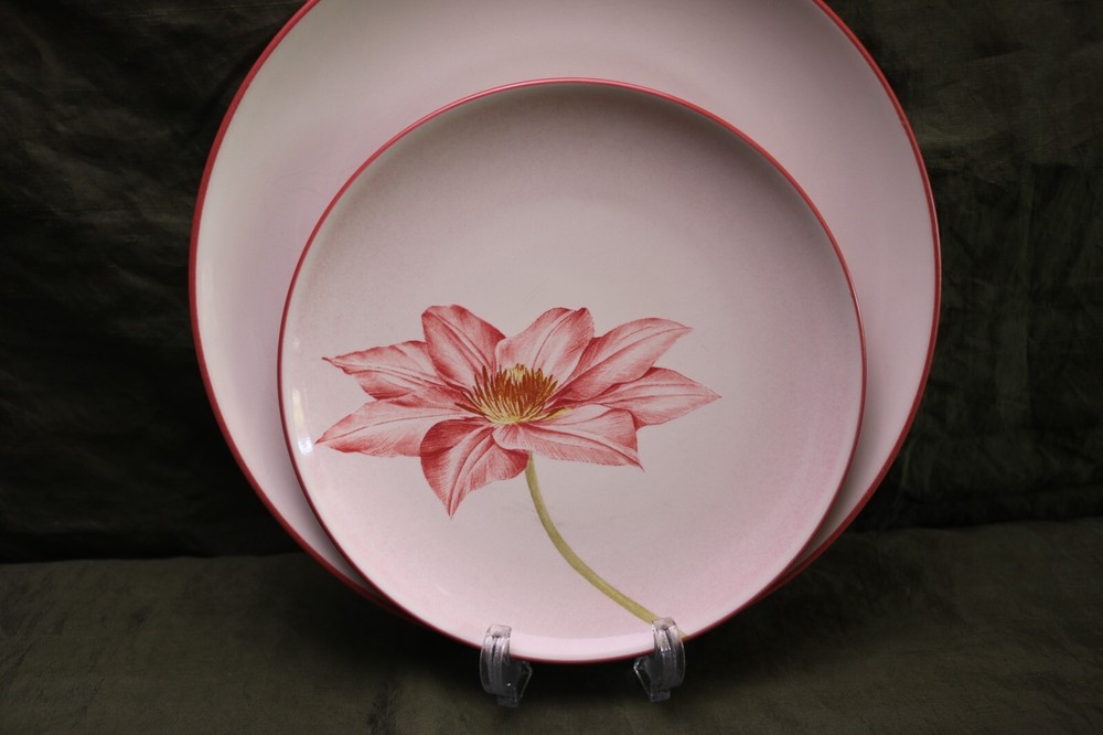 Noritake Colorwave Raspberry Red 4 pc Dinner Clematis Salad Plates Dinner Mugs