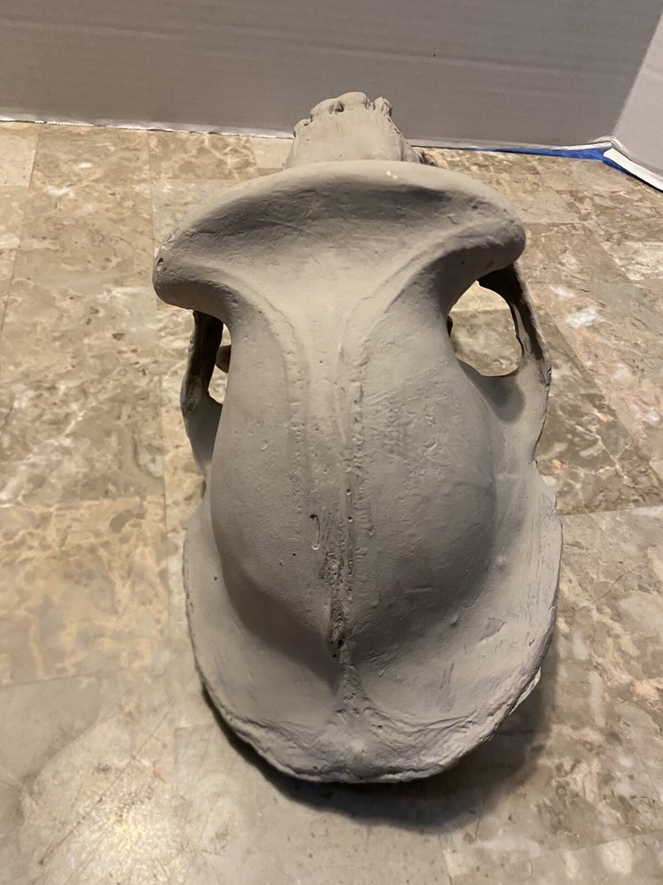 Gorilla Skull Replica Skull Large Cast Model Two Piece