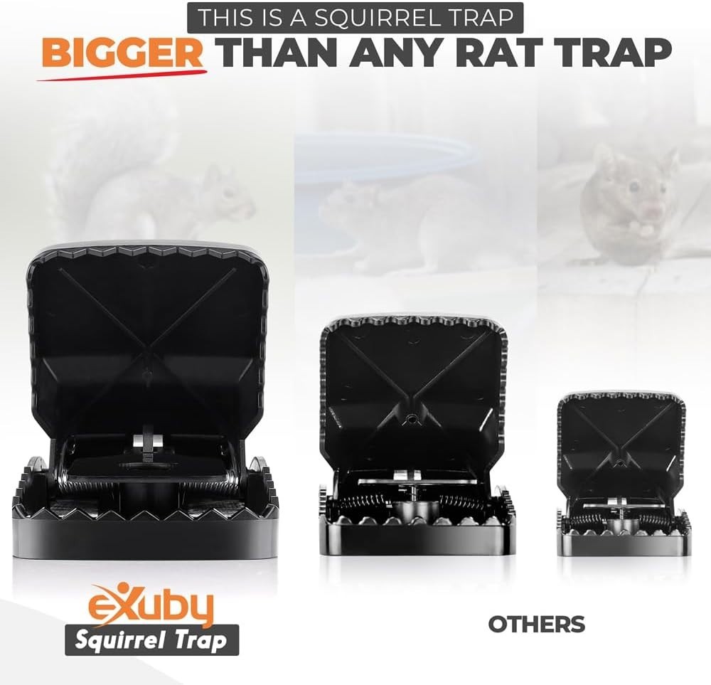 Squirrel Trap 2 Pack - Consistent & Humane Kill Every Time with no Failures -...