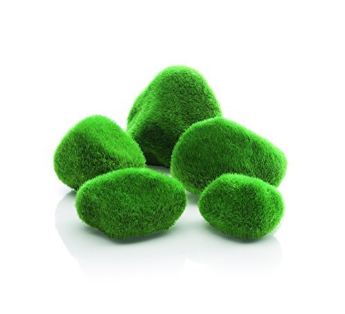 46084.0 Moss Pebbles Aquariums