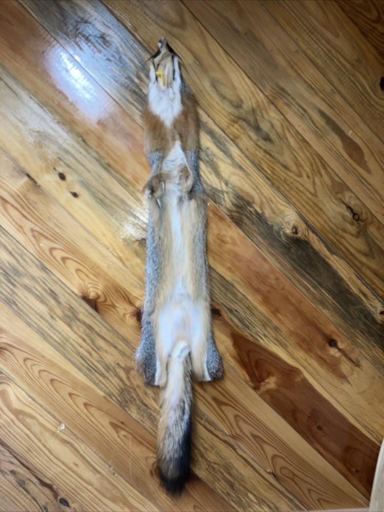 gray fox pelts