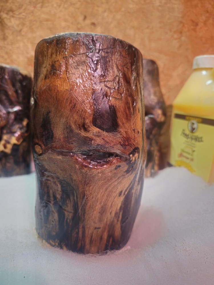 White Ash Trunk Eye Scars