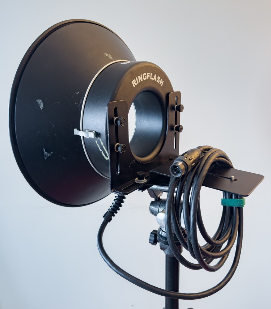 Bowens Ringflash for Dynalite with Camera Mount hardware and diffusor.