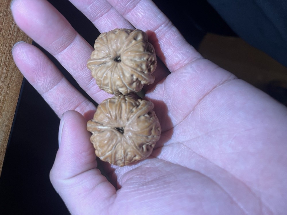 文玩核桃.平谷元包人字 小三棱。白茶一大一下 对子差一点，看好了在下单 36X37X32。34X33X29