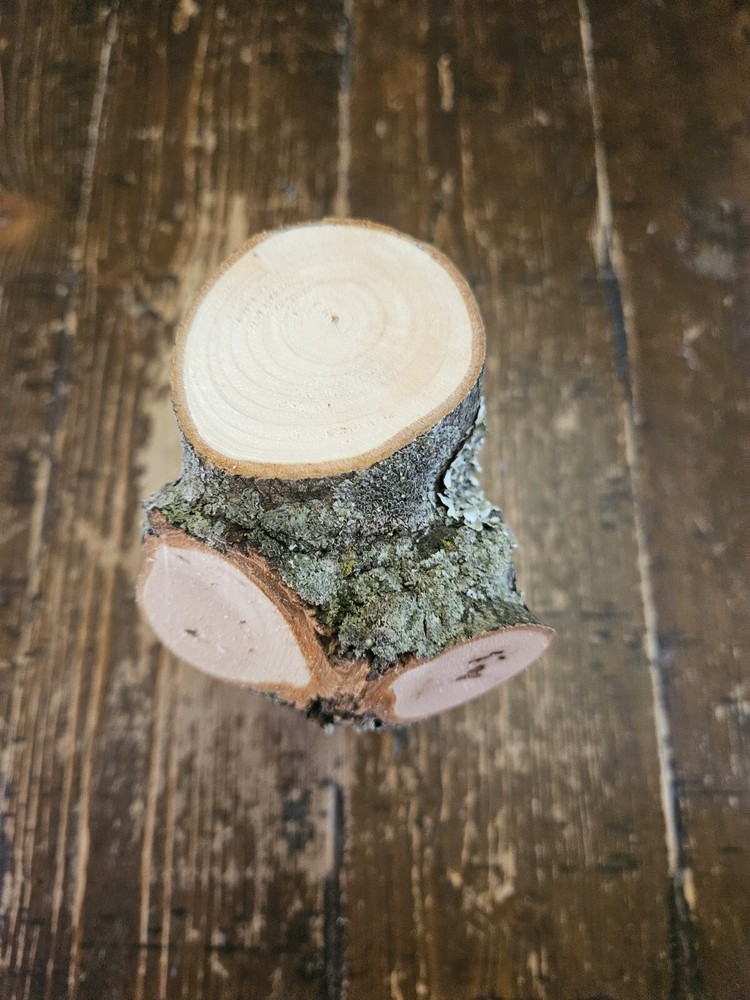 MAPLE Turning Crotch Log 9" Long M4851