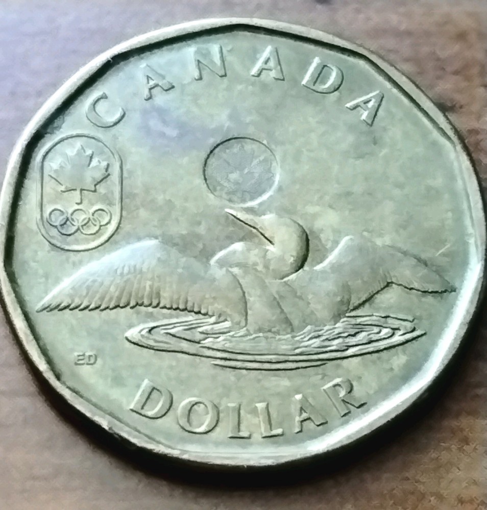 2014 Canada Loonie One Dollar Coin