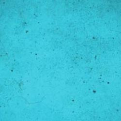 Ten Second Color - Caribbean - 1 Gallon