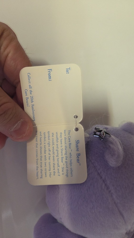 13in 20th Anniversary Share Care Bear