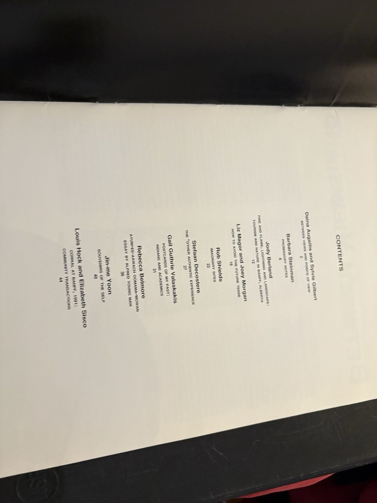 Between Views 1991 Banff art exhibition catalog