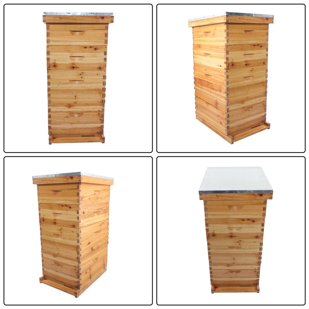LABLT 10 Frame Bee Hive Beeswax Coated W/ Frames and Waxed Foundations 4 Layer
