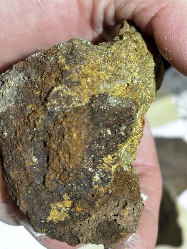 rich az silver and gold ore