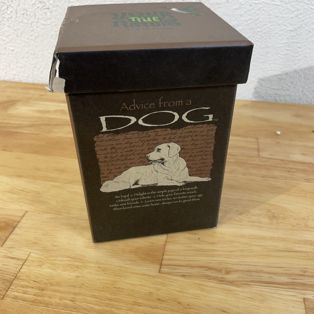 Cypress Home Ceramic Latte Cup - "Advice From A Dog"