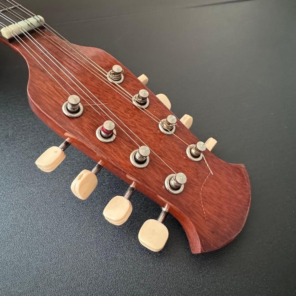 [Hard case ] SUZUKI Mandolin M-215
