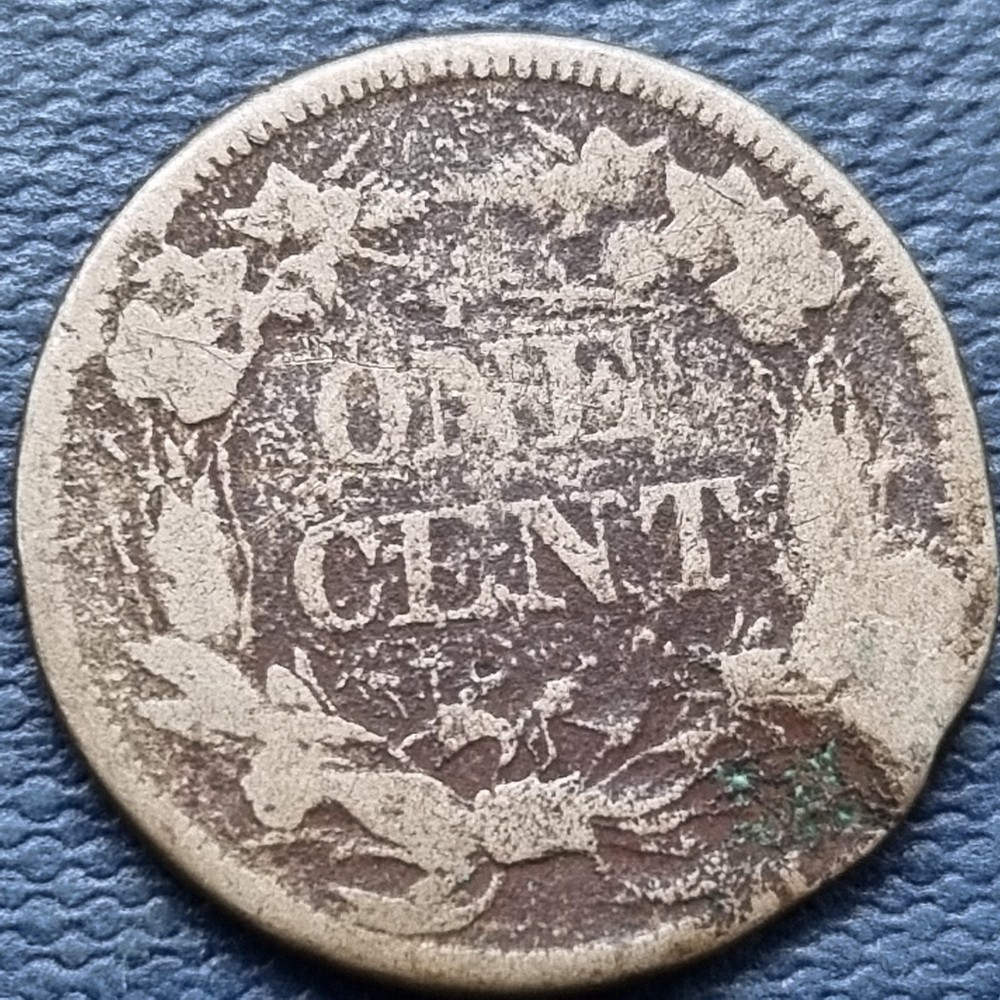 1858 Flying Eagle Cent 1c Circulated Details #97071