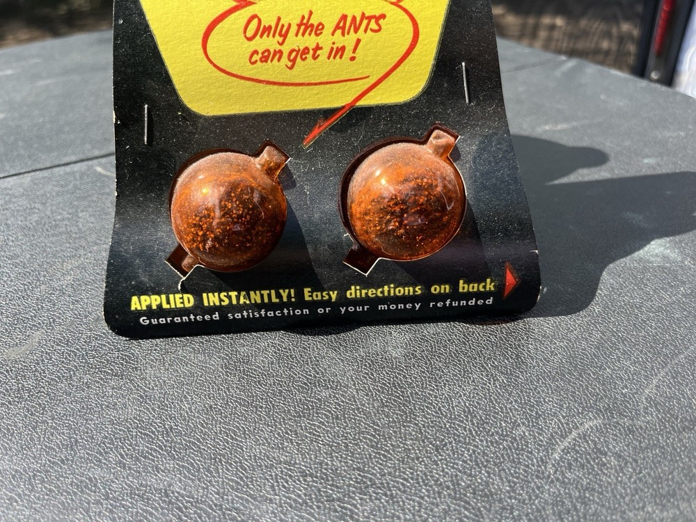 Vintage Ant Coffin