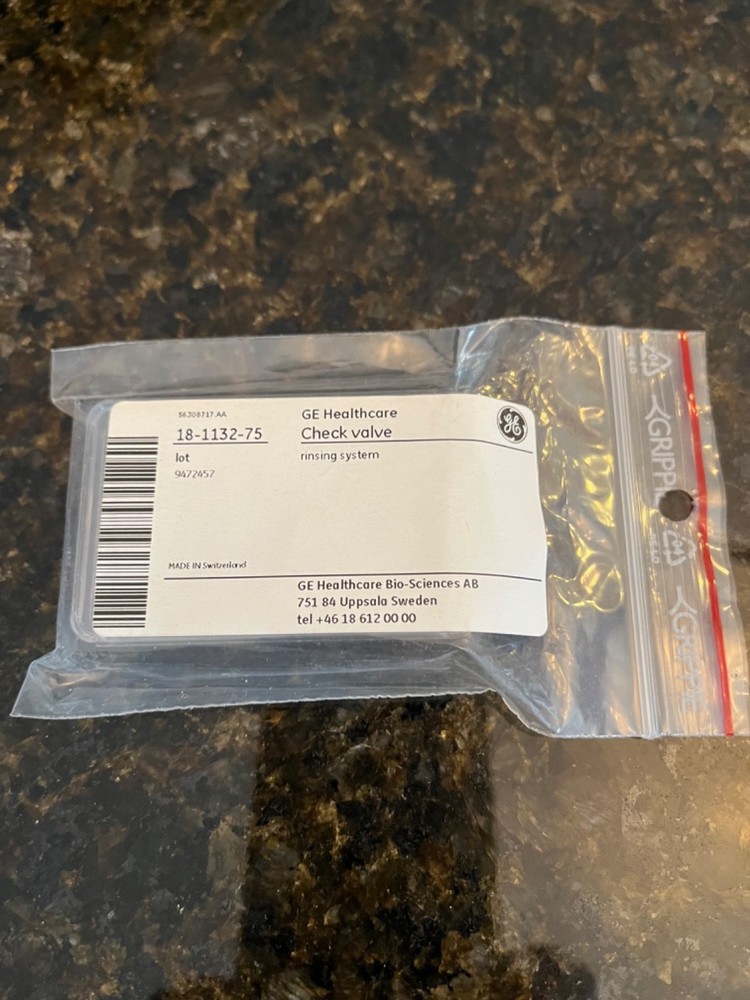 GE Check Valve 18-1132-75