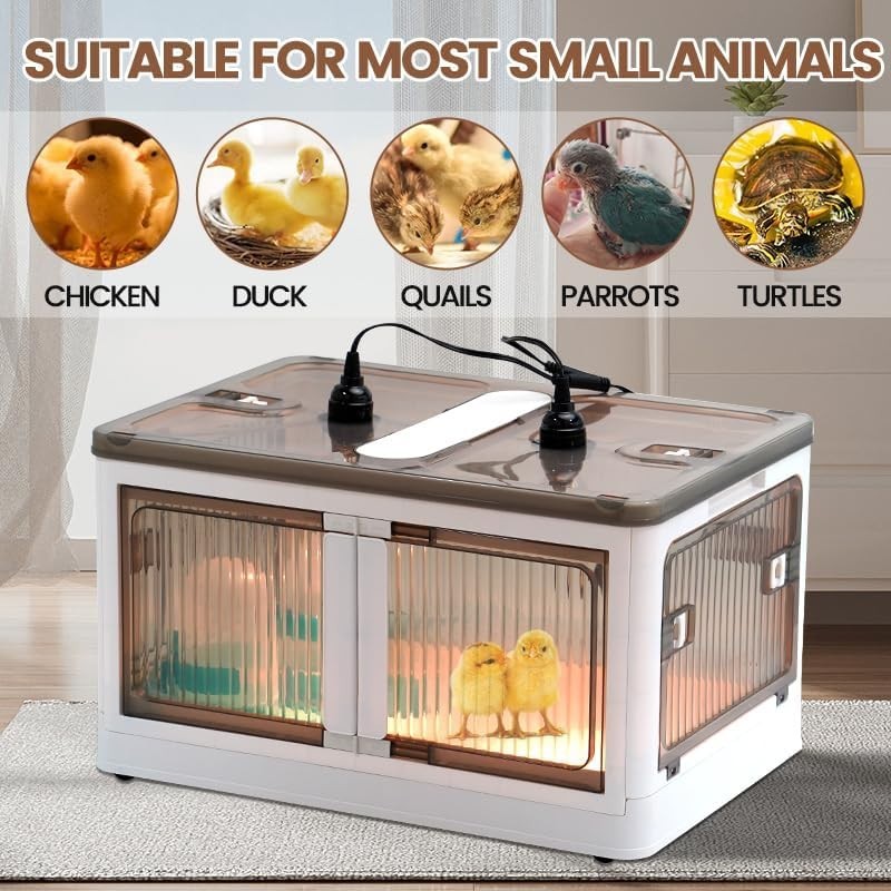 Brooder Box for Chicks Quail Brooder Box with Thermostat Poultry Heater