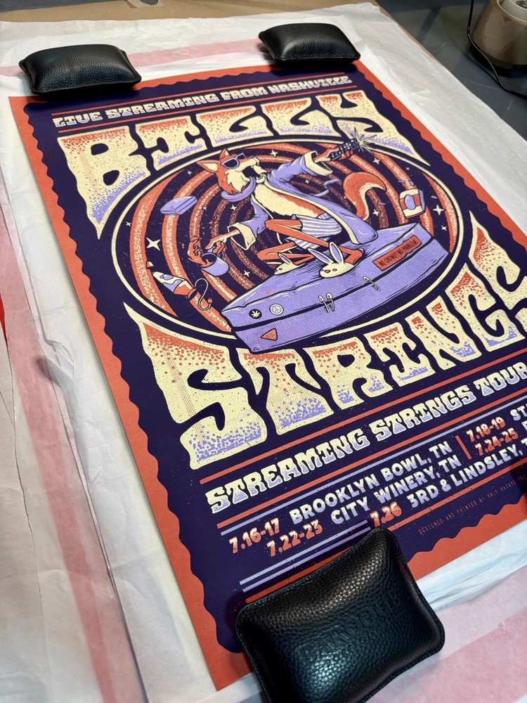 BILLY STRINGS 2020 STREAMING STRINGS VARIANT TOUR POSTER LE X/1130 MINT 🔥