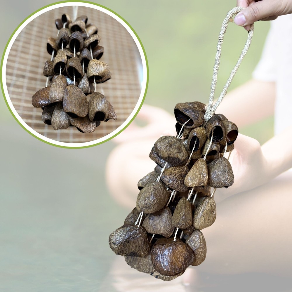 【Import Duties Apply】Natural Shell Rattle Handmade Percussion Shaker Seed Rattle