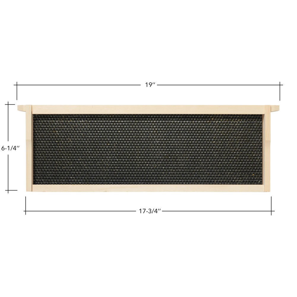 10-Pack Unassembled Medium Super Waxed Frames - Black
