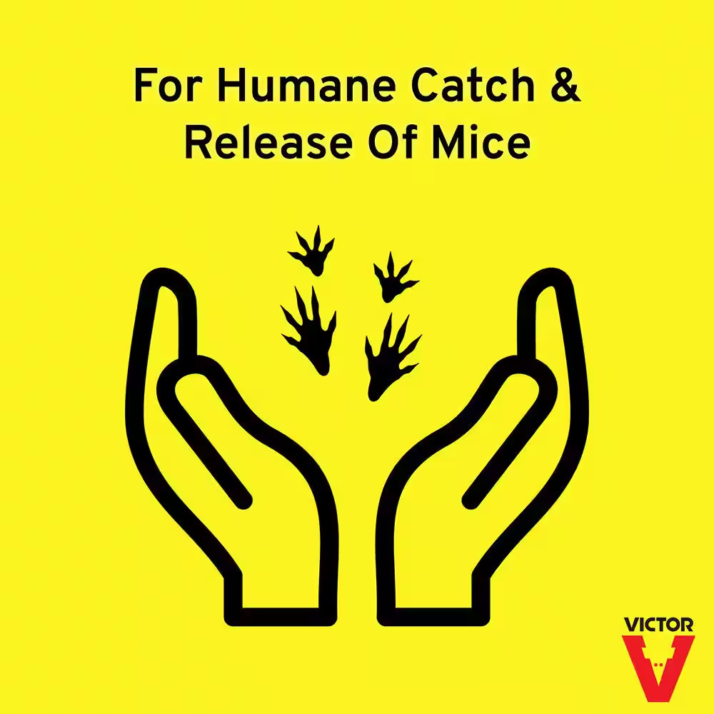 Tin Cat Mouse Trap with See Thru Lid (12-Pack)