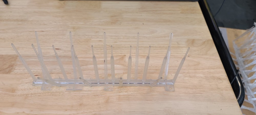 Bird Spikes