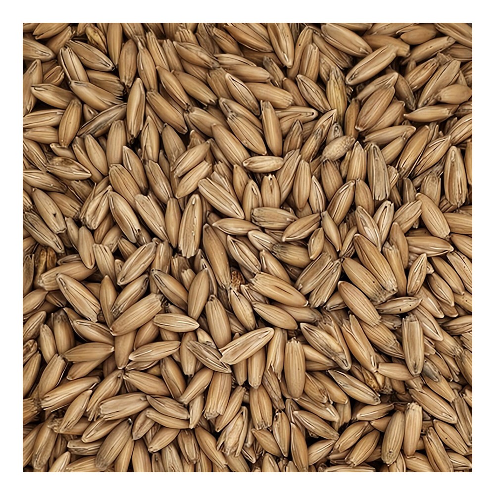 Home Brew Ohio Malted Oats Grain 5lb