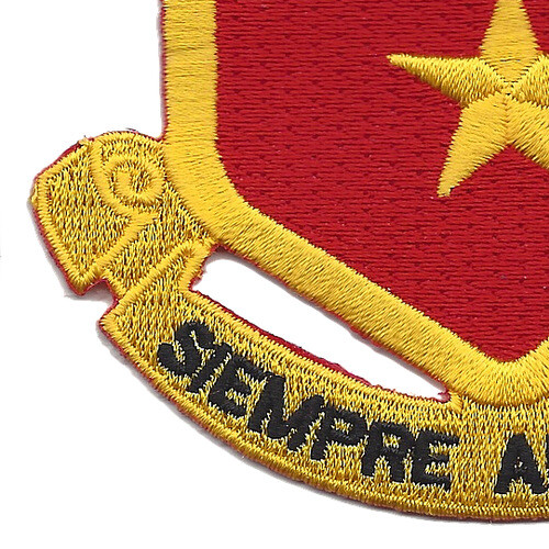 311th Cavalry Regiment Patch
