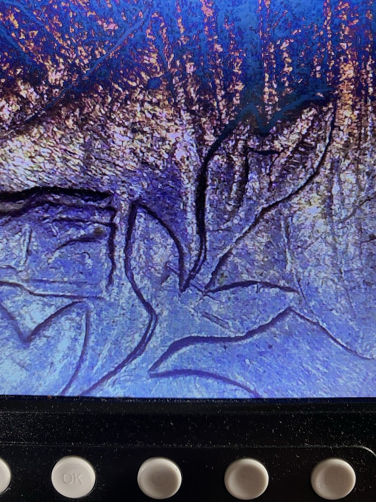 🔥1987 P Washington Quarter With Multiple Double Die Errors🔥