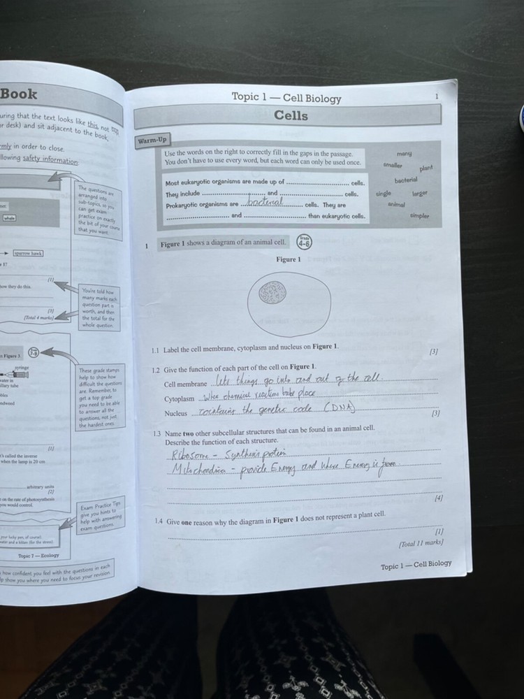 CGP AQA Exam Practice Workbook bundle - Biology, Chemistry and Physics. Higher