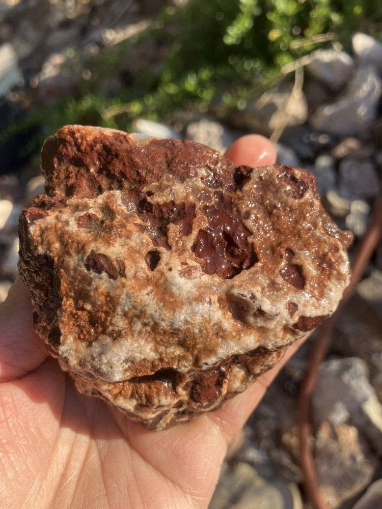 Crazy Lace Agate (rough)