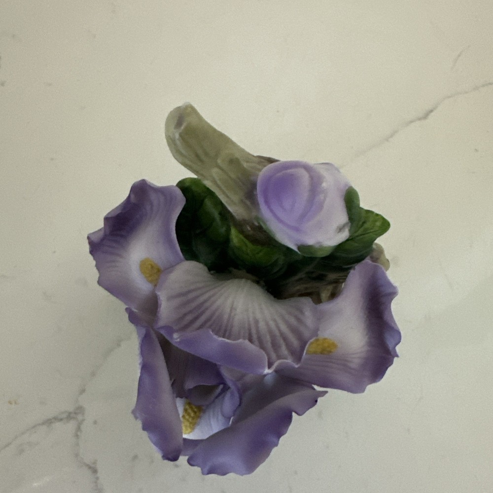 Porcelain Iris Nightlight Cover For Plug In Wall