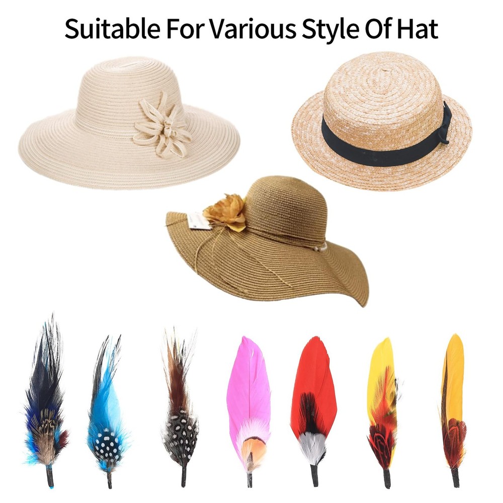 Hat Feathers, 12 Pcs Natural Feathers, Mixed Assorted Cowboy Hats Feathers, C...