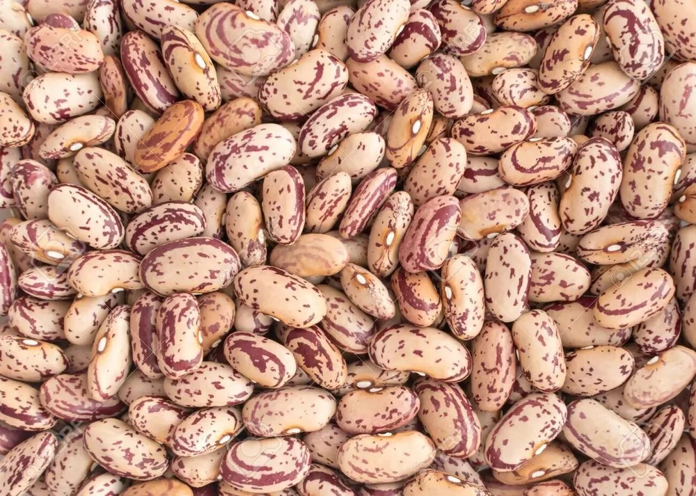 LOT of 4: canned beans (various) 15oz each, see description