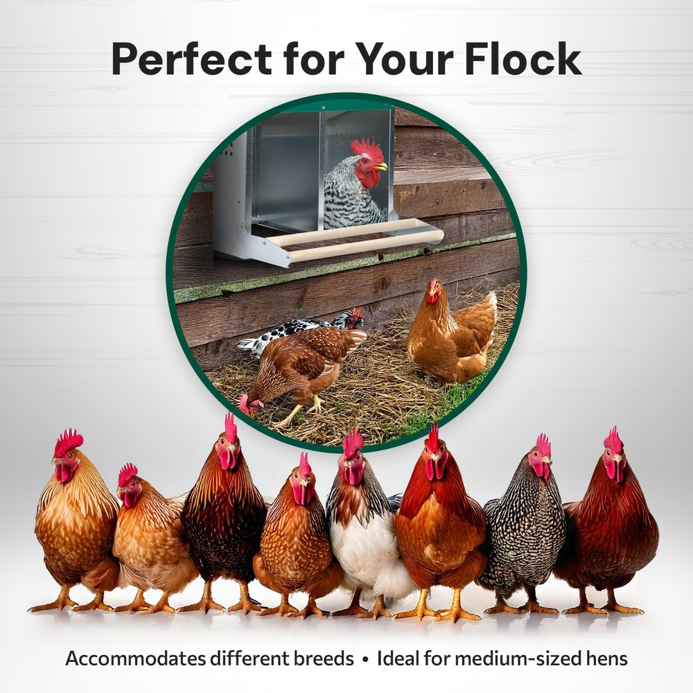 Homestead Essentials 2 Compartment Reverse Roll Out Chicken Nesting Box w/ Lids