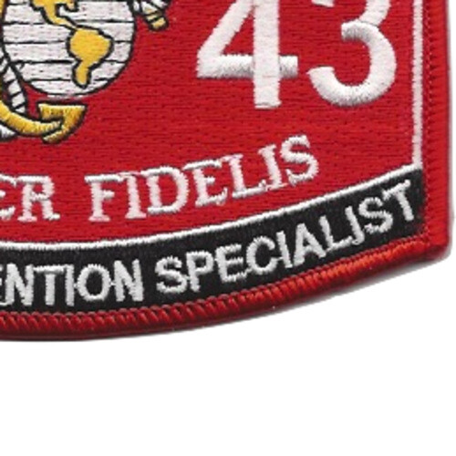 0143 Career Retention Specialist MOS Patch