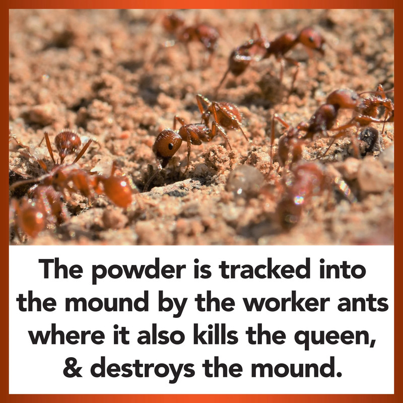 Fire Ant Killer with Acephate , Powder Treatment Pest, 12 Oz. Bottle