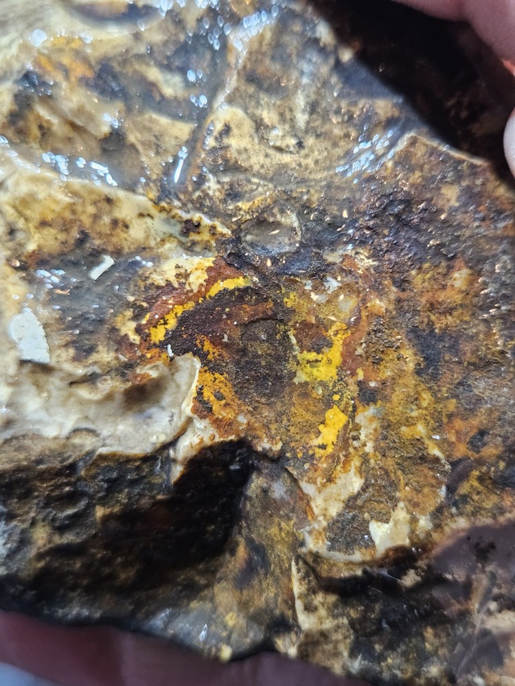 Biggs Jasper Multi Colored w/ Dendric Specimen Natural Form (14oz)