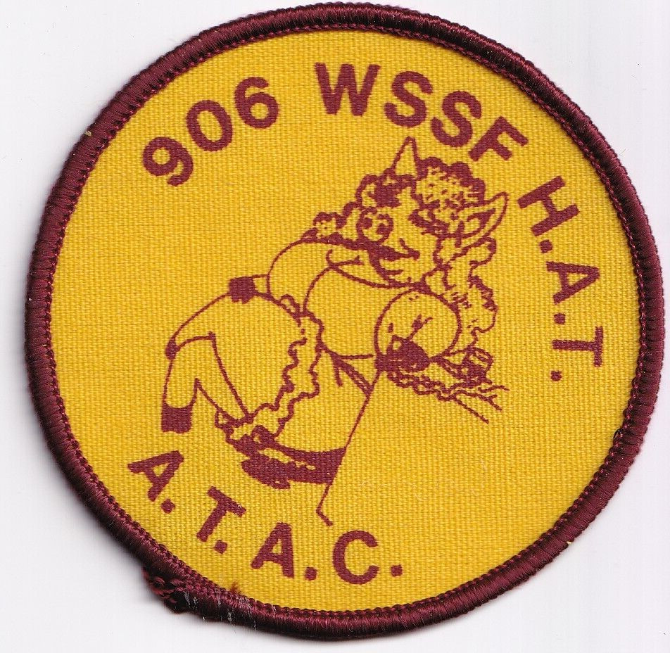 907th Weapon Systems Security Flight patch US Air Force USAF silkscreen US made