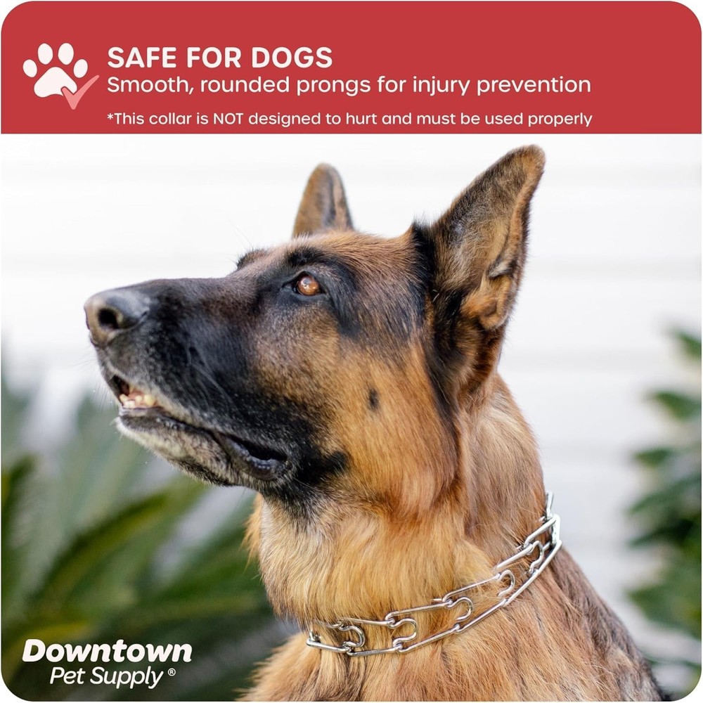 Chrome Plated Adjustable Prong Collar for Dogs 20-40 lbs: No-Pull Training