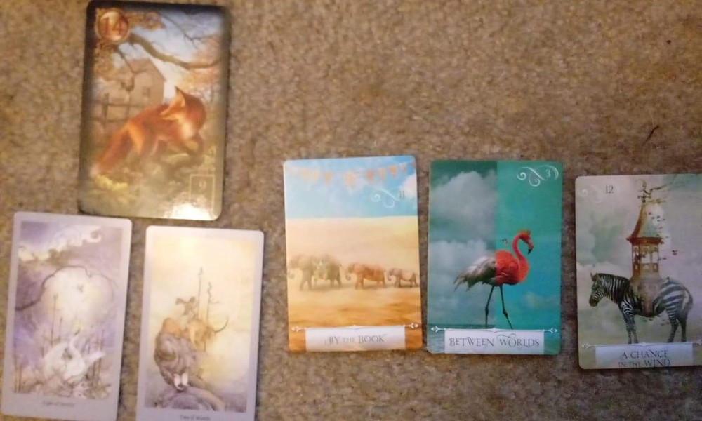 Yes/No Tarot card reading