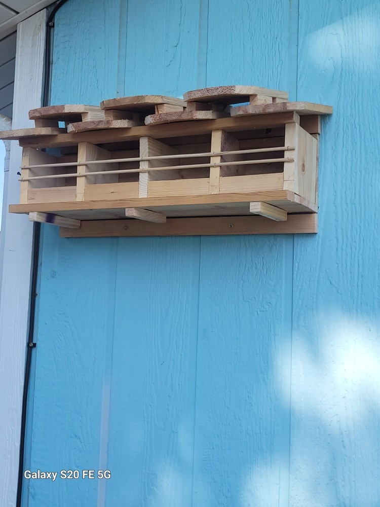 Sparrow Nesting Box with 4 compartments