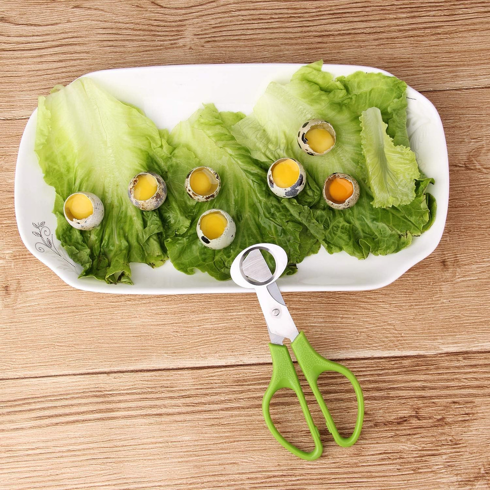 3Pcs Quail Egg Cutter Scissors Kitchen Egg Shears Tool (Green)