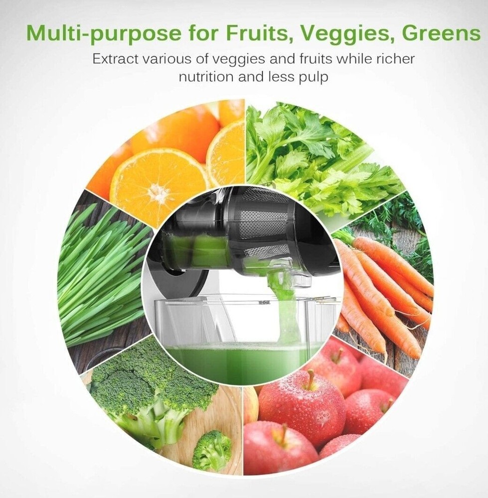 Slow Masticating Juicer with Reverse Function, Cold press, Silver, Portable